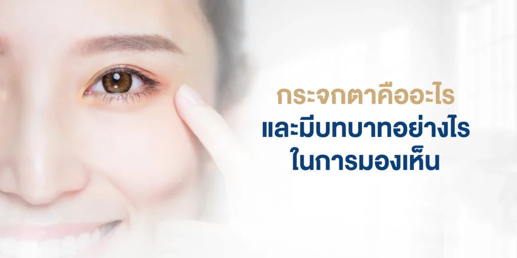 กระจกตาคืออะไร และมีบทบาทอย่างไรในการมองเห็น